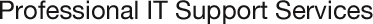 Professional IT Support Services